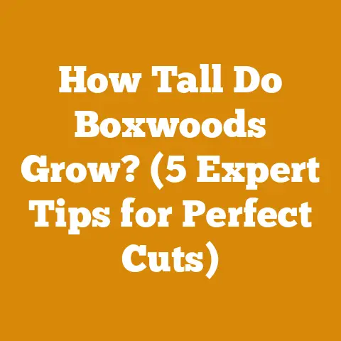 How Tall Do Boxwoods Grow? (5 Expert Tips for Perfect Cuts)