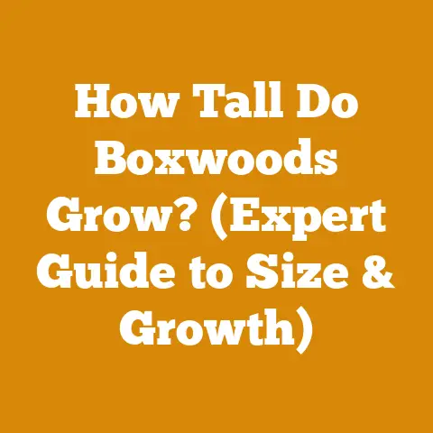 How Tall Do Boxwoods Grow? (Expert Guide to Size & Growth)