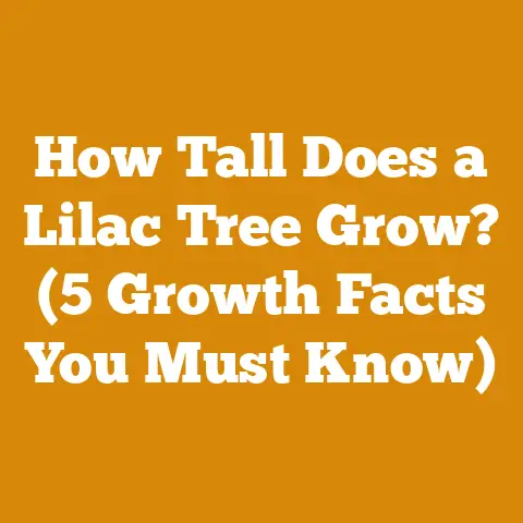 How Tall Does a Lilac Tree Grow? (5 Growth Facts You Must Know)