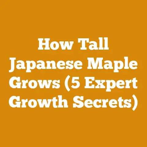 How Tall Japanese Maple Grows (5 Expert Growth Secrets)