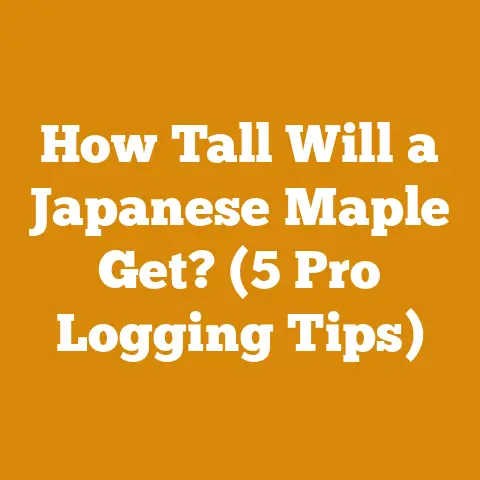 How Tall Will a Japanese Maple Get? (5 Pro Logging Tips)