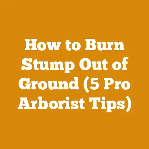 How to Burn Stump Out of Ground (5 Pro Arborist Tips)