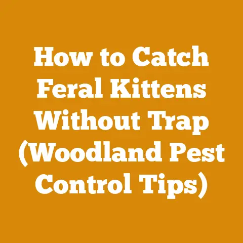 How to Catch Feral Kittens Without Trap (Woodland Pest Control Tips)