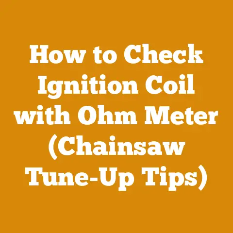 How to Check Ignition Coil with Ohm Meter (Chainsaw Tune-Up Tips)
