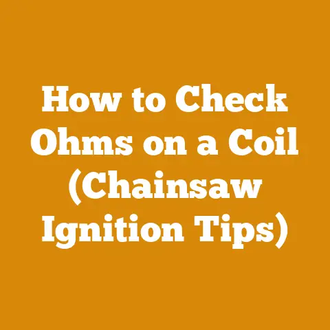 How to Check Ohms on a Coil (Chainsaw Ignition Tips)