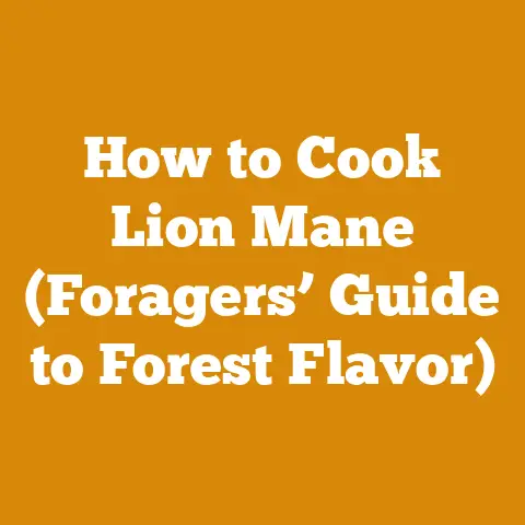 How to Cook Lion Mane (Foragers’ Guide to Forest Flavor)