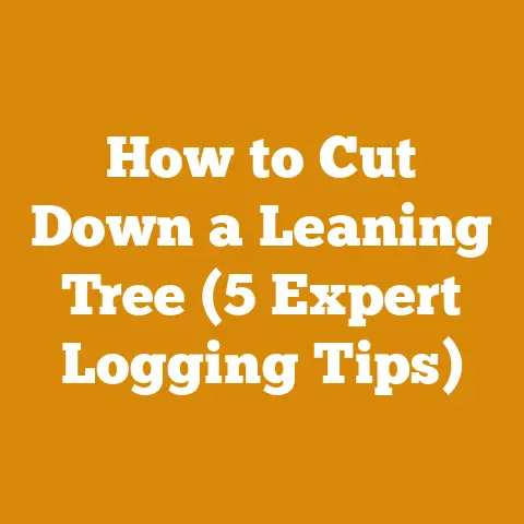 How to Cut Down a Leaning Tree (5 Expert Logging Tips)