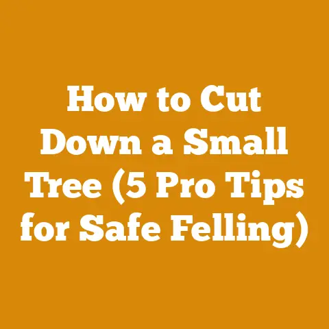 How to Cut Down a Small Tree (5 Pro Tips for Safe Felling)