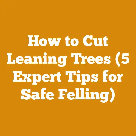 How to Cut Leaning Trees (5 Expert Tips for Safe Felling)