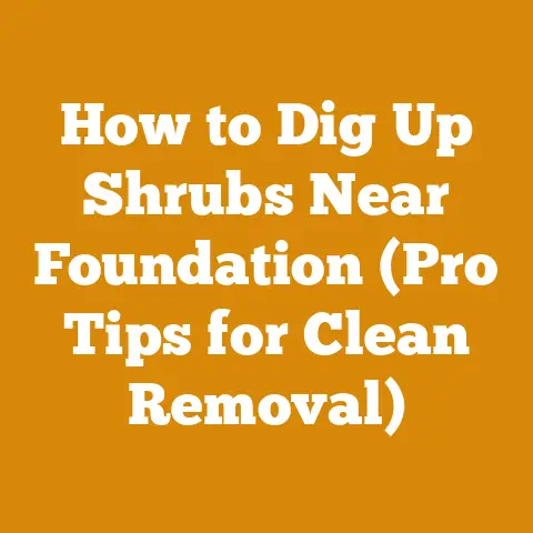 How to Dig Up Shrubs Near Foundation (Pro Tips for Clean Removal)
