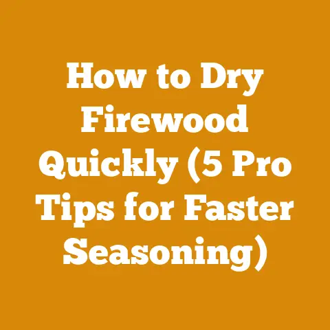 How to Dry Firewood Quickly (5 Pro Tips for Faster Seasoning)