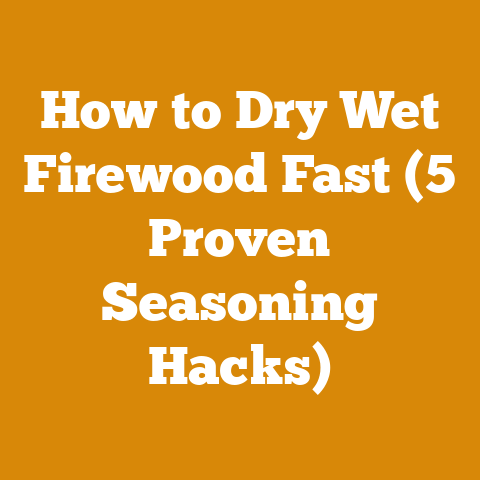 How to Dry Wet Firewood Fast (5 Proven Seasoning Hacks)