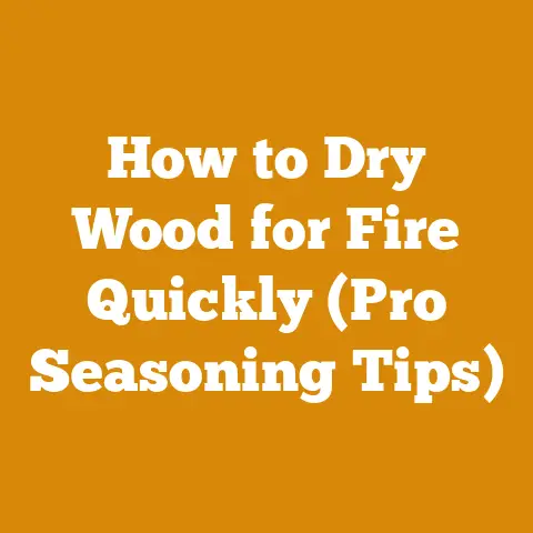 How to Dry Wood for Fire Quickly (Pro Seasoning Tips)