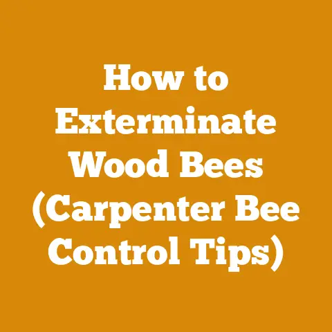 How to Exterminate Wood Bees (Carpenter Bee Control Tips)