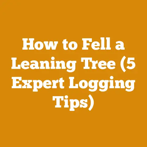 How to Fell a Leaning Tree (5 Expert Logging Tips)