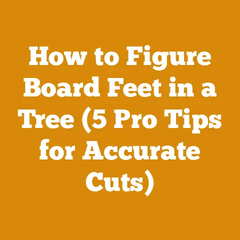 How to Figure Board Feet in a Tree (5 Pro Tips for Accurate Cuts)