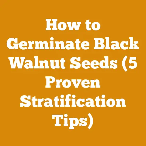 How to Germinate Black Walnut Seeds (5 Proven Stratification Tips)