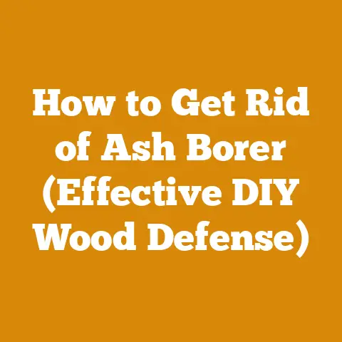 How to Get Rid of Ash Borer (Effective DIY Wood Defense)