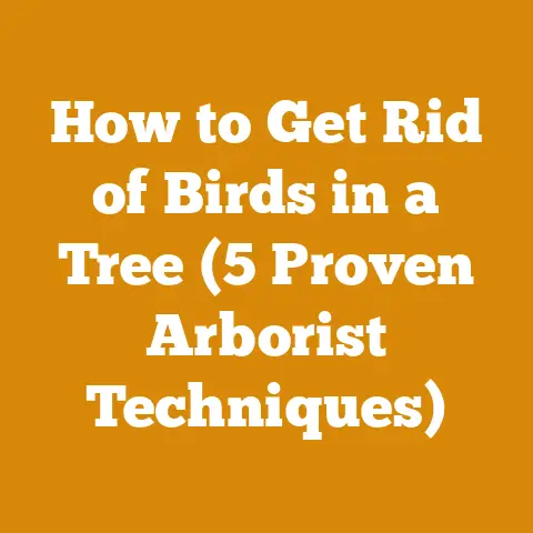 How to Get Rid of Birds in a Tree (5 Proven Arborist Techniques)