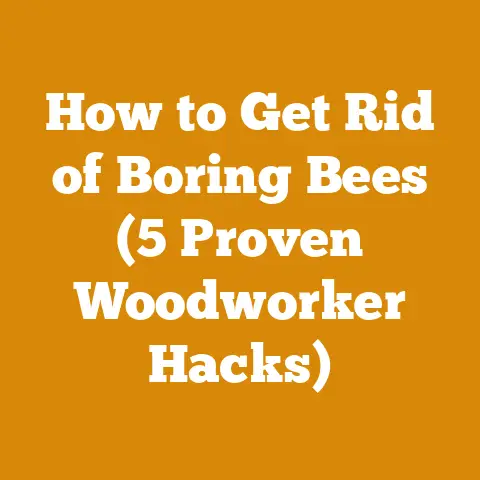 How to Get Rid of Boring Bees (5 Proven Woodworker Hacks)