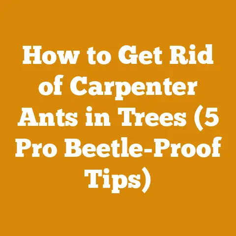How to Get Rid of Carpenter Ants in Trees (5 Pro Beetle-Proof Tips)
