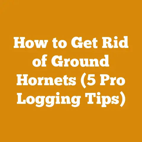 How to Get Rid of Ground Hornets (5 Pro Logging Tips)