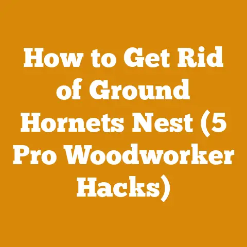 How to Get Rid of Ground Hornets Nest (5 Pro Woodworker Hacks)