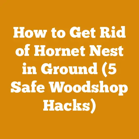 How to Get Rid of Hornet Nest in Ground (5 Safe Woodshop Hacks)