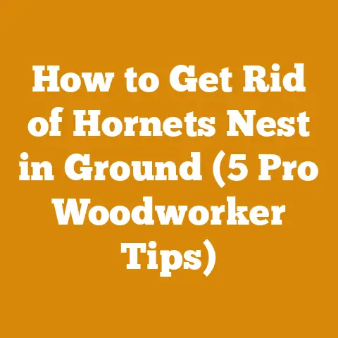 How to Get Rid of Hornets Nest in Ground (5 Pro Woodworker Tips)