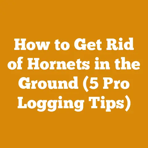 How to Get Rid of Hornets in the Ground (5 Pro Logging Tips)