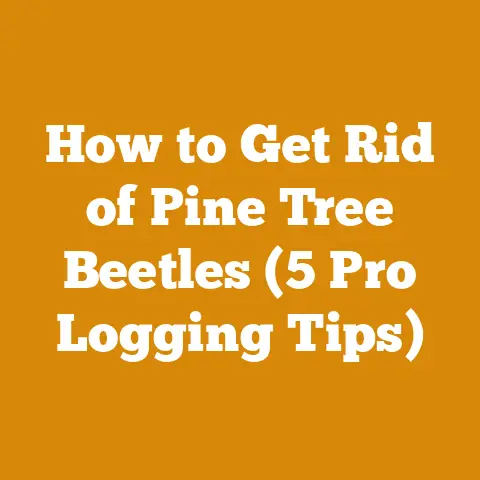 How to Get Rid of Pine Tree Beetles (5 Pro Logging Tips)