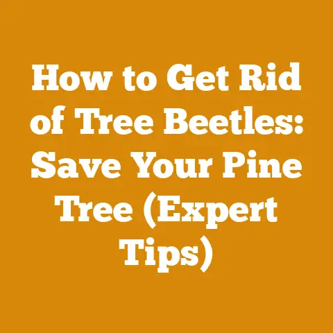How to Get Rid of Tree Beetles: Save Your Pine Tree (Expert Tips)