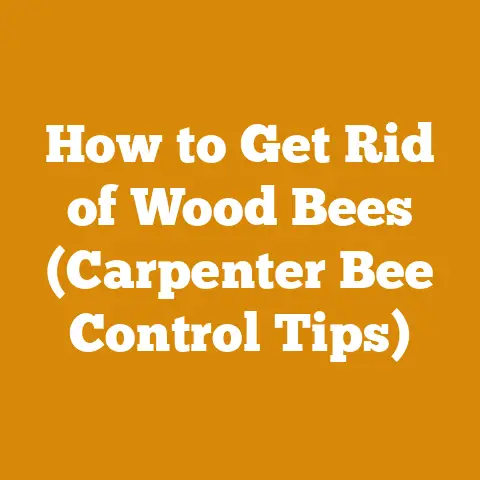 How to Get Rid of Wood Bees (Carpenter Bee Control Tips)