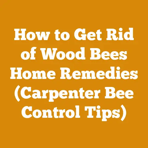 How to Get Rid of Wood Bees Home Remedies (Carpenter Bee Control Tips)