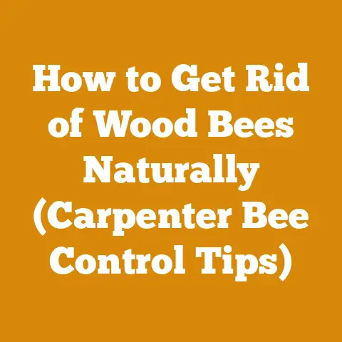 How to Get Rid of Wood Bees Naturally (Carpenter Bee Control Tips)