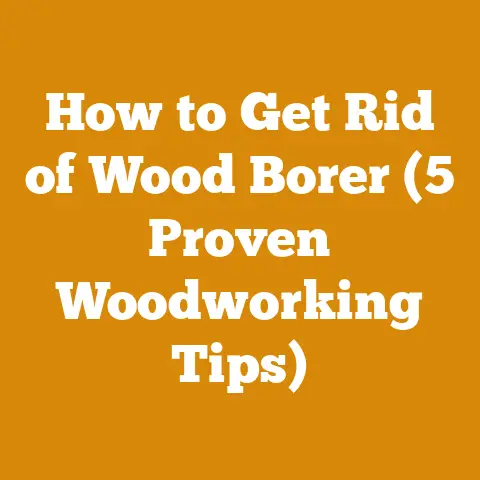 How to Get Rid of Wood Borer (5 Proven Woodworking Tips)