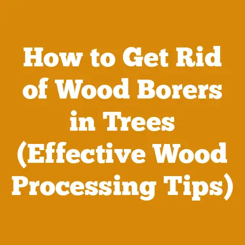 How to Get Rid of Wood Borers in Trees (Effective Wood Processing Tips)