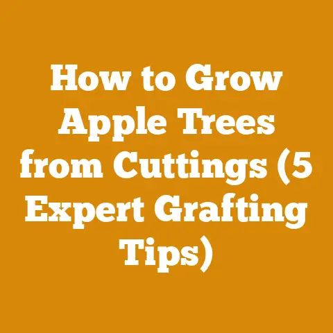 How to Grow Apple Trees from Cuttings (5 Expert Grafting Tips)