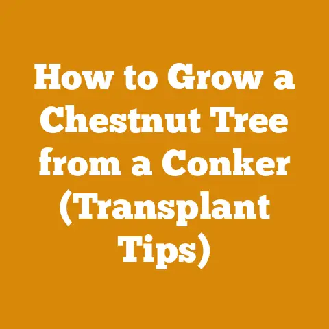 How to Grow a Chestnut Tree from a Conker (Transplant Tips)
