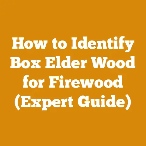 How to Identify Box Elder Wood for Firewood (Expert Guide)