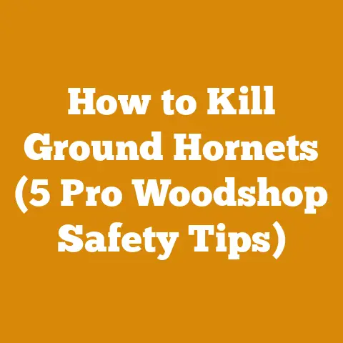 How to Kill Ground Hornets (5 Pro Woodshop Safety Tips)