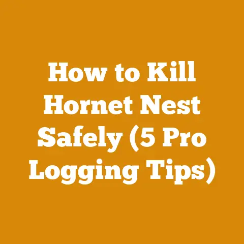 How to Kill Hornet Nest Safely (5 Pro Logging Tips)