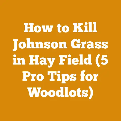 How to Kill Johnson Grass in Hay Field (5 Pro Tips for Woodlots)