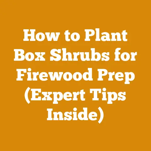 How to Plant Box Shrubs for Firewood Prep (Expert Tips Inside)