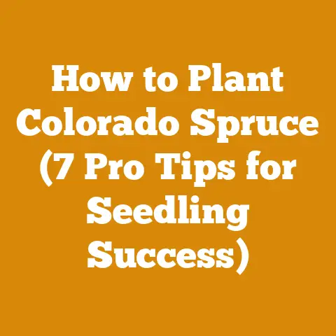 How to Plant Colorado Spruce (7 Pro Tips for Seedling Success)