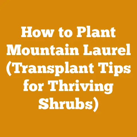 How to Plant Mountain Laurel (Transplant Tips for Thriving Shrubs)