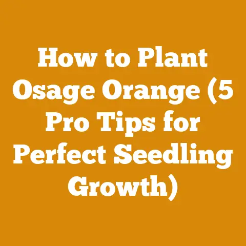 How to Plant Osage Orange (5 Pro Tips for Perfect Seedling Growth)