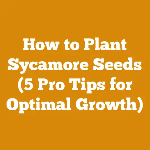 How to Plant Sycamore Seeds (5 Pro Tips for Optimal Growth)