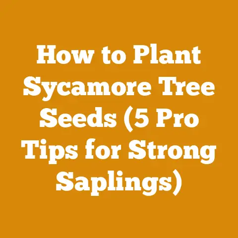 How to Plant Sycamore Tree Seeds (5 Pro Tips for Strong Saplings)