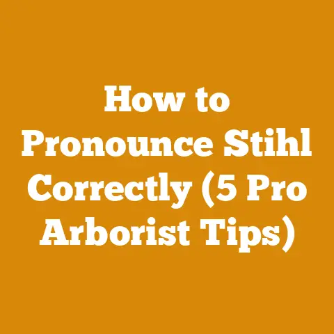 How to Pronounce Stihl Correctly (5 Pro Arborist Tips)